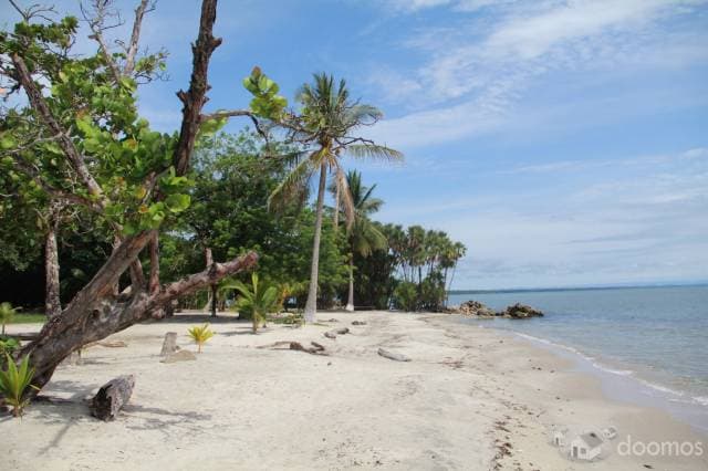terreno de 48.70 mts.de playa x 96.44 de fondo en livingston - 1