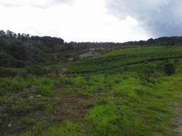 C/Salvador, terreno de 502.63vrs2 - 1