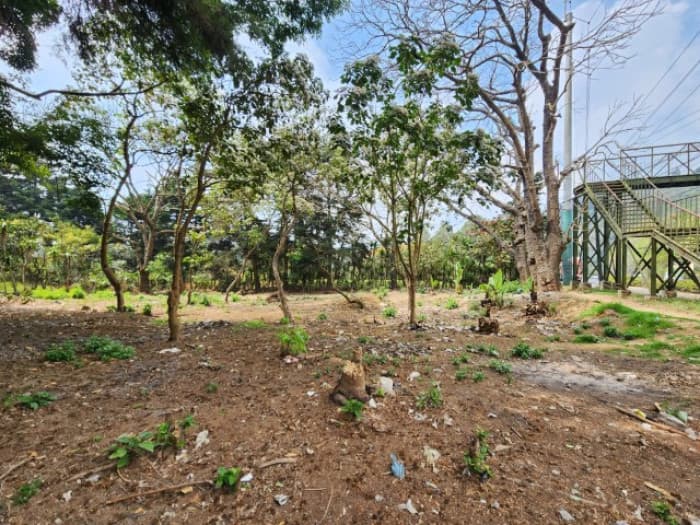 Terreno Comercial en Renta Ruta Interamericana Sn Lucas - 1