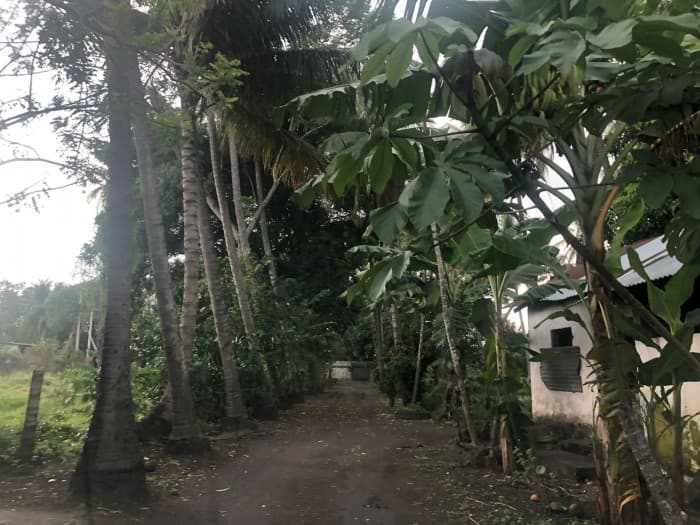 Venta de finca a orilla de carretera Masagua, Escuintla - 1