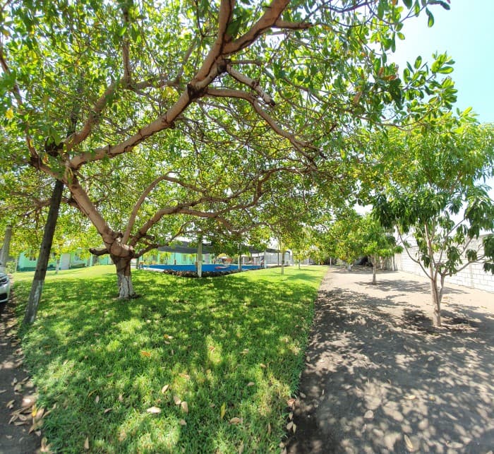 Venta propiedad con bungalows en Hawai Santa Rosa - 1