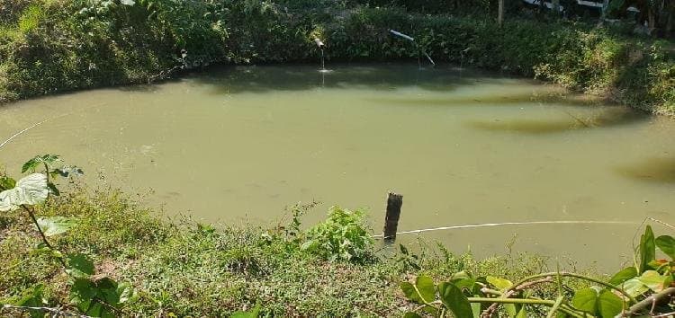 Terreno en Venta con excelente ubicación Puerto Barrios - 1
