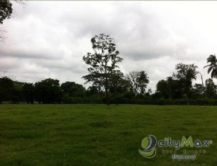 Venta Finca de limón y Casa en San José Escuintla - 1