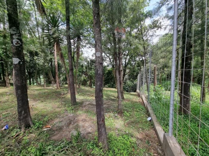 Terreno en Renta para Vivero o Restaurante tipo Pérgola - 1