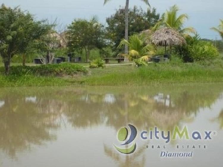 Terreno en Venta en Km 117 Carretera a Taxisco - 1