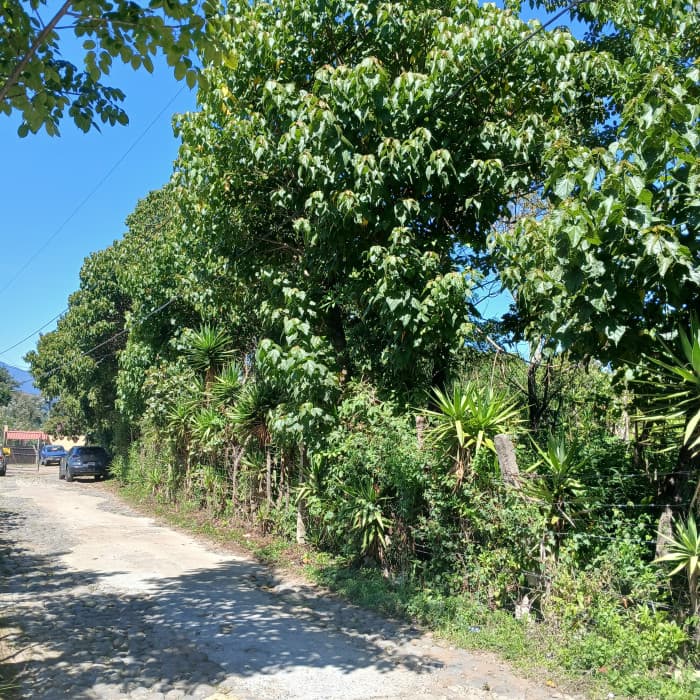 Amplio Terreno rustico en Venta, Sta Lucia Milpas Altas - 1