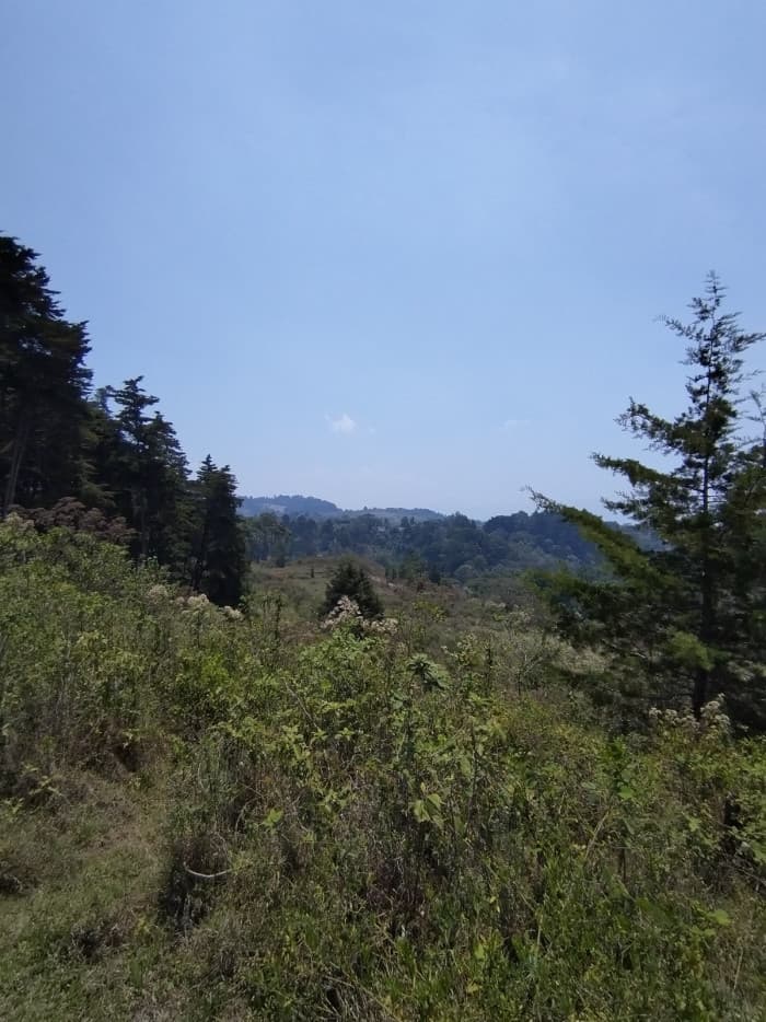 FINCA EN #VENTA EN CARRETERA A EL SALVADOR - 1