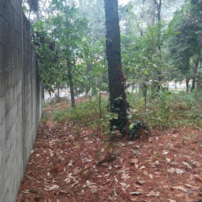 Terreno Comercial en Renta en Carretera Interamericana - 1