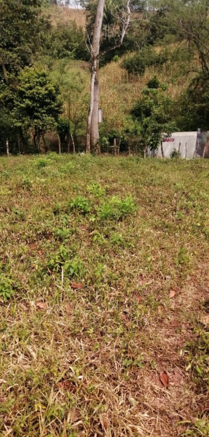 Terreno en Venta Los Amates Izabal, Guatemala - 1