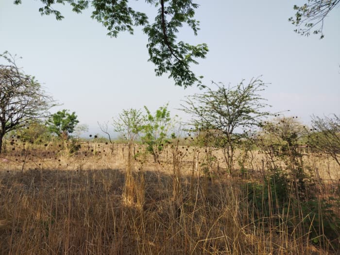 TERRENO EN #VENTA EN SANTA ROSA - 1