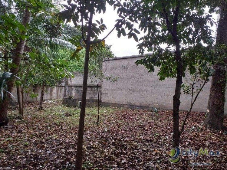 CITYMAX VENDE TERRENO GRANDE EN EL ESTOR IZABAL - 1