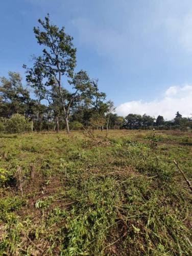 TERRENOS EN PARRAMOS, CHIMALTENANGO - 1