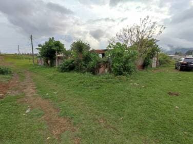 Terreno en Alquiler o Venta en sector de Villa Nueva - 1