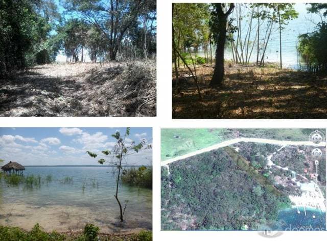 Precioso Terreno Con Playa en San Jose Peten - 1